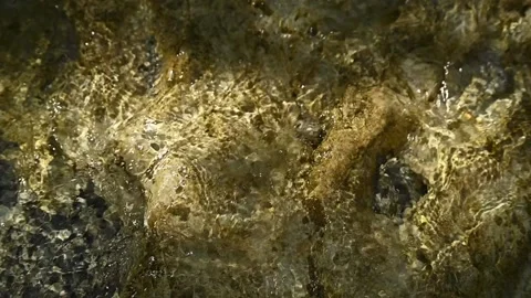 Water of a mountain river is flowing over rocks in sunlight (slow motion) Stock-Footage 211764068