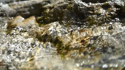 Water from a mountain river flows over a rock in the sunshine (slow motion) Stock-Footage 212729869