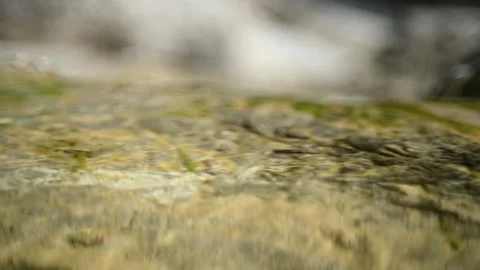 Water from a mountain river flows over rocks and sunlight effects (slow motion) Stock Footage 212730050