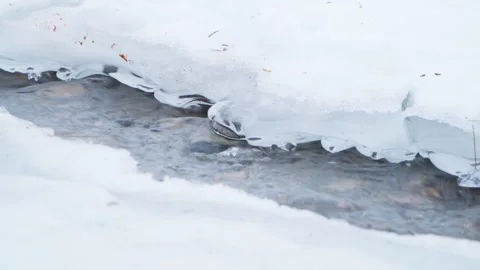 Water in a mountain river flows slowly under the eroded surface of the ice. Stock Footage 259861578