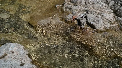 Water of a mountain river in summer Stock Footage 212762621