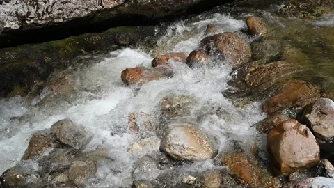Water from a mountain stream in direct sunlight 스톡 동영상 219358049