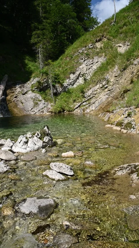 Water from a mountain stream flowing through a pond in late summer, vertical Video stock 260881070