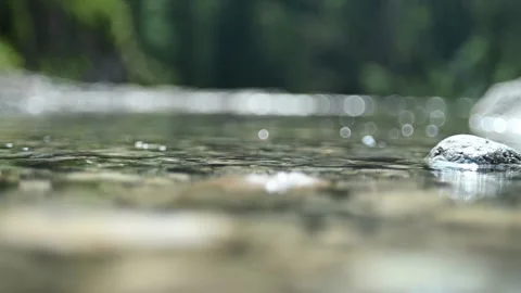 Water from a mountain stream flows over stones in a forest (slow motion) Video stock 219633678