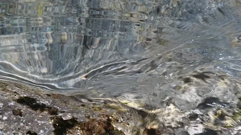 Water from a mountain stream flows over a rock that creates swirls (slow motion) Stock-Footage 219639790