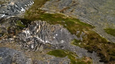Water from a mountain stream flows over rocks in the summer (slow motion) Stock-Footage 219639986