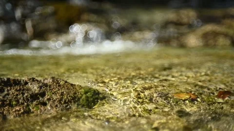 Water from a mountain stream flows over a stone (bokeh, slow motion) Stock-Footage 260843395