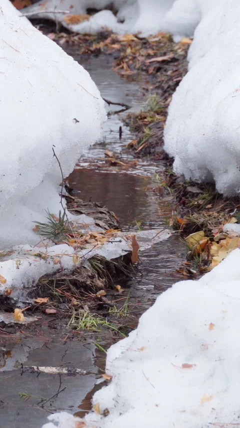 The water in the mountain stream flows slowly during the spring snowmelt. Stock Footage 270268704