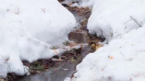 The water in the mountain stream flows slowly during the spring snowmelt. Stock Footage 270269125