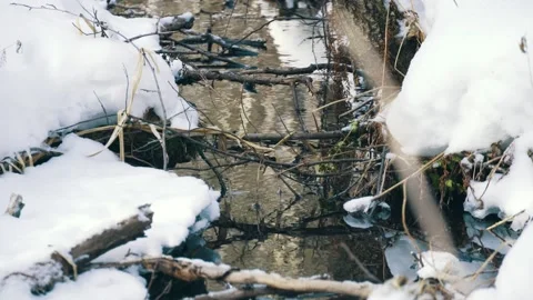 The water in the mountain stream flows slowly during the spring snowmelt. Stock Footage 303777017