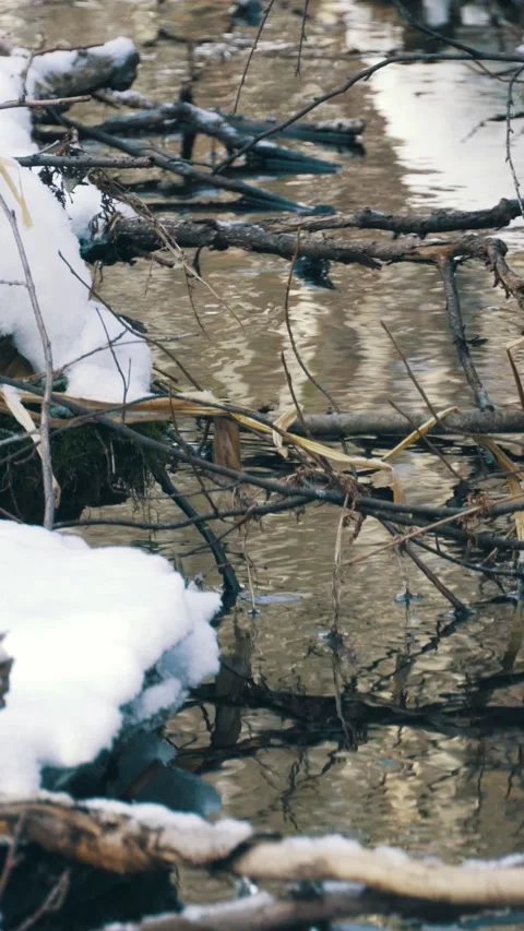 The water in the mountain stream flows slowly and does not freeze in winter. Stock Footage 317944595