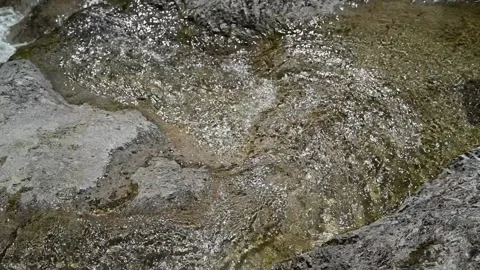 Water from a mountain stream meanders over rocks (slow motion) Stock-Footage 219638021