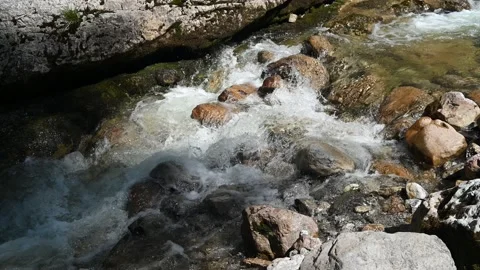 Water from a mountain stream runs over stones 스톡 동영상 219359104