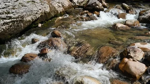 Water from a mountain stream runs over stones 스톡 동영상 219359178