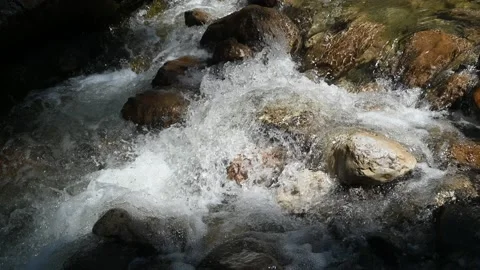 Water from a mountain stream runs over stones in a sun spotlight Stock Footage 219359874