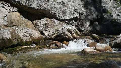 Water from a mountain stream runs over stones in sunlight Stock-Footage 219361127