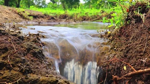 Water from the mountains flows into the fields, with grass in the background Stock Footage 234747932