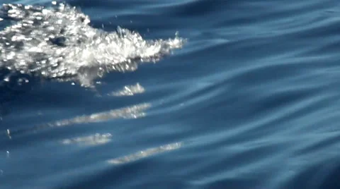 Water moved by the zodiac Stock Footage 36451127
