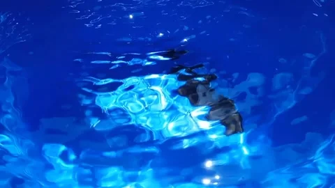 Water movement and sunshine reflections Stock Footage 251412366