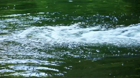Water Movement Stock Footage 219850132