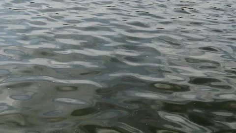 Water movement Video stock 229603352