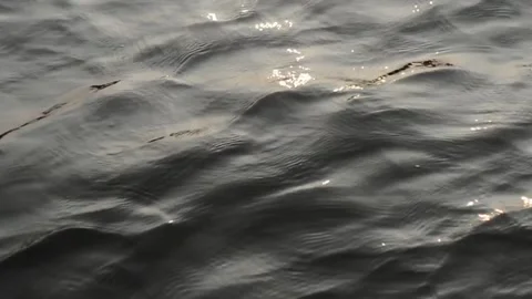 Water movement Stock Footage 231749002