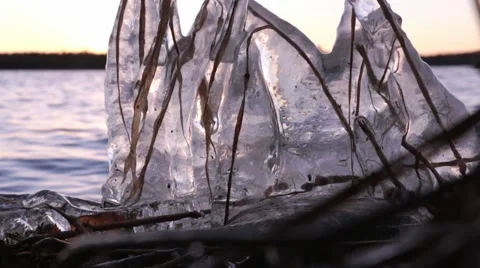 Water movement seen through iced plants Stock Footage 59119662