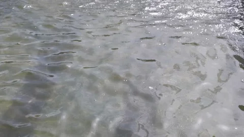 Water movement. Waves. Pond. 4K Stock Footage 154396123