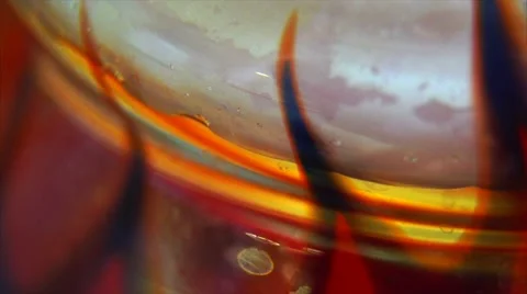Water Moves in the Bulb Macro Stock Footage 61139833