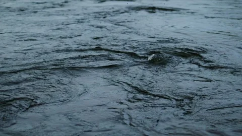 Water moves slowly, surface rippled by unseen forces Stock Footage 335809759