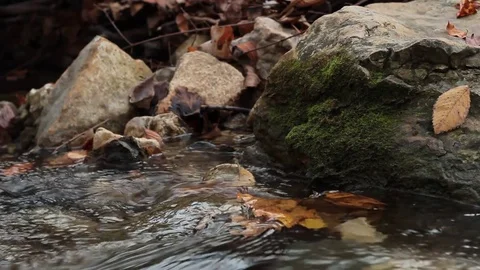 Water moving down a stream Stock Footage 82209765
