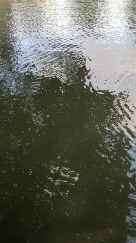 Water moving in the lake, waves Stockbeeldmateriaal 140979830