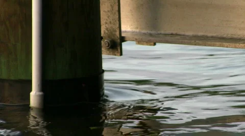 Water moving on piling Video stock 696795