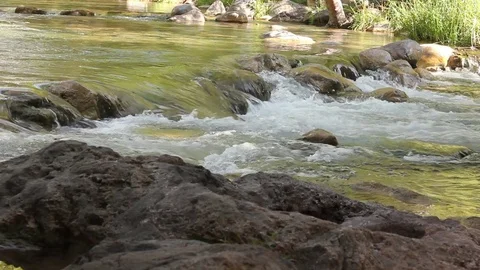 Water Moving Quickly through Small Rapids Vidéo 78020740