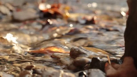 Water moving in a stream over rocks and leaves 스톡 동영상 82210153