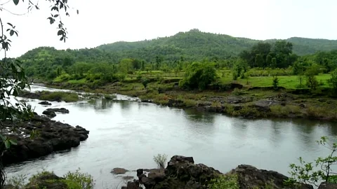 Water moving stream, Rainy forest mountain view Panchgani Mahabaleshwar India Stock Footage 155983210