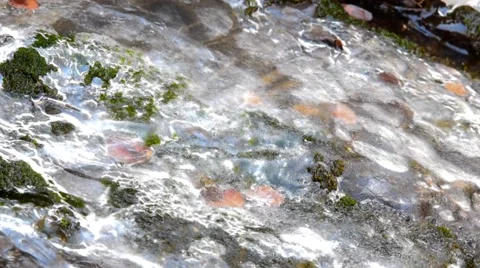 Water Moving Under Ice Stockbeeldmateriaal 48936538