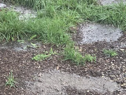 Water mud puddle in the rain Stock Photos