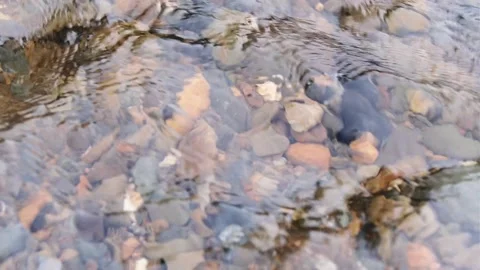 The water is murky, Stock Footage 319291512