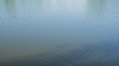 Water in a natural setting shows gentle ripples moving across its surface. The 库存影片 344525944