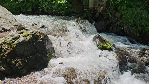 Water, nature, greenery. Stock Footage 288973563