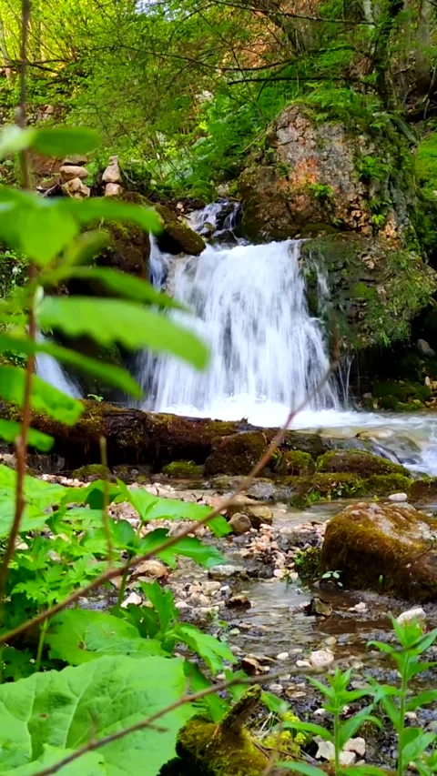 Water, nature, river, stream, forest, green, waterfall Stock Footage 312001808