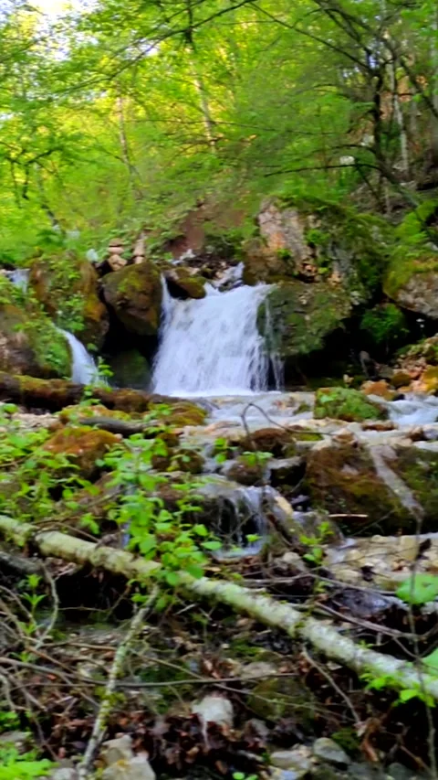Water, nature, river, stream, forest, green, waterfall Video stock 312001810