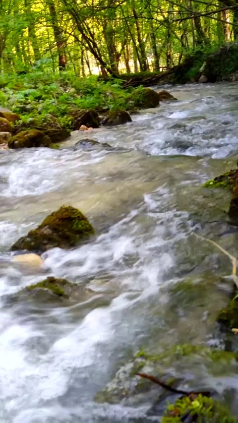 Water, nature, river, stream, forest, green, waterfall Stock Footage 312001811