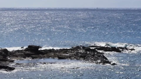 Water next to the ocean Stock Footage 156022832