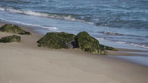 Water next to the ocean Video stock 156023811