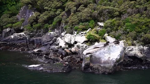 Water next to the rock Stock Footage 155356843