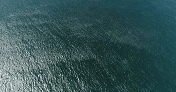 The water in the ocean is green 스톡 동영상 85854767