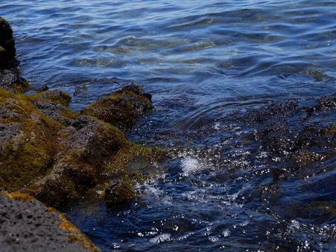 Water - Ocean Stock Photos