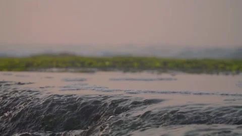 Water from ocean waves flows over coral rocks and back into the ocean Stock Footage 256270946
